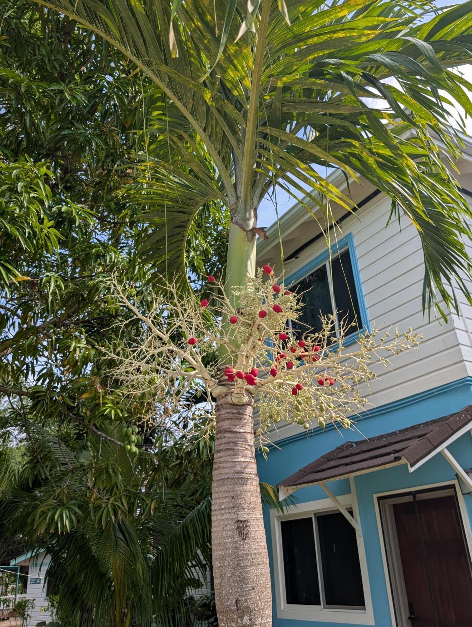Yoga Dreams Negril 호텔 외부 사진