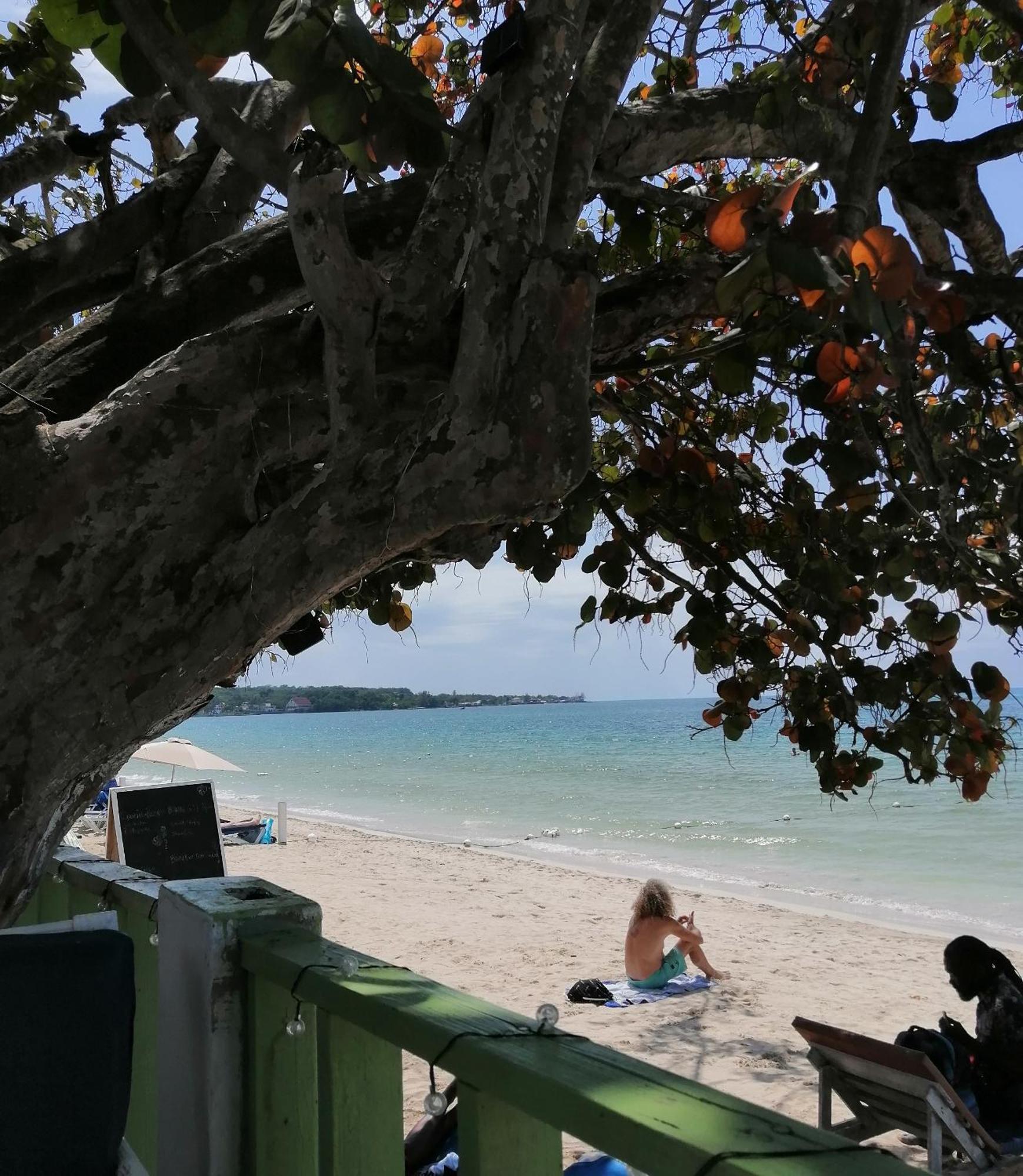Yoga Dreams Negril 호텔 외부 사진