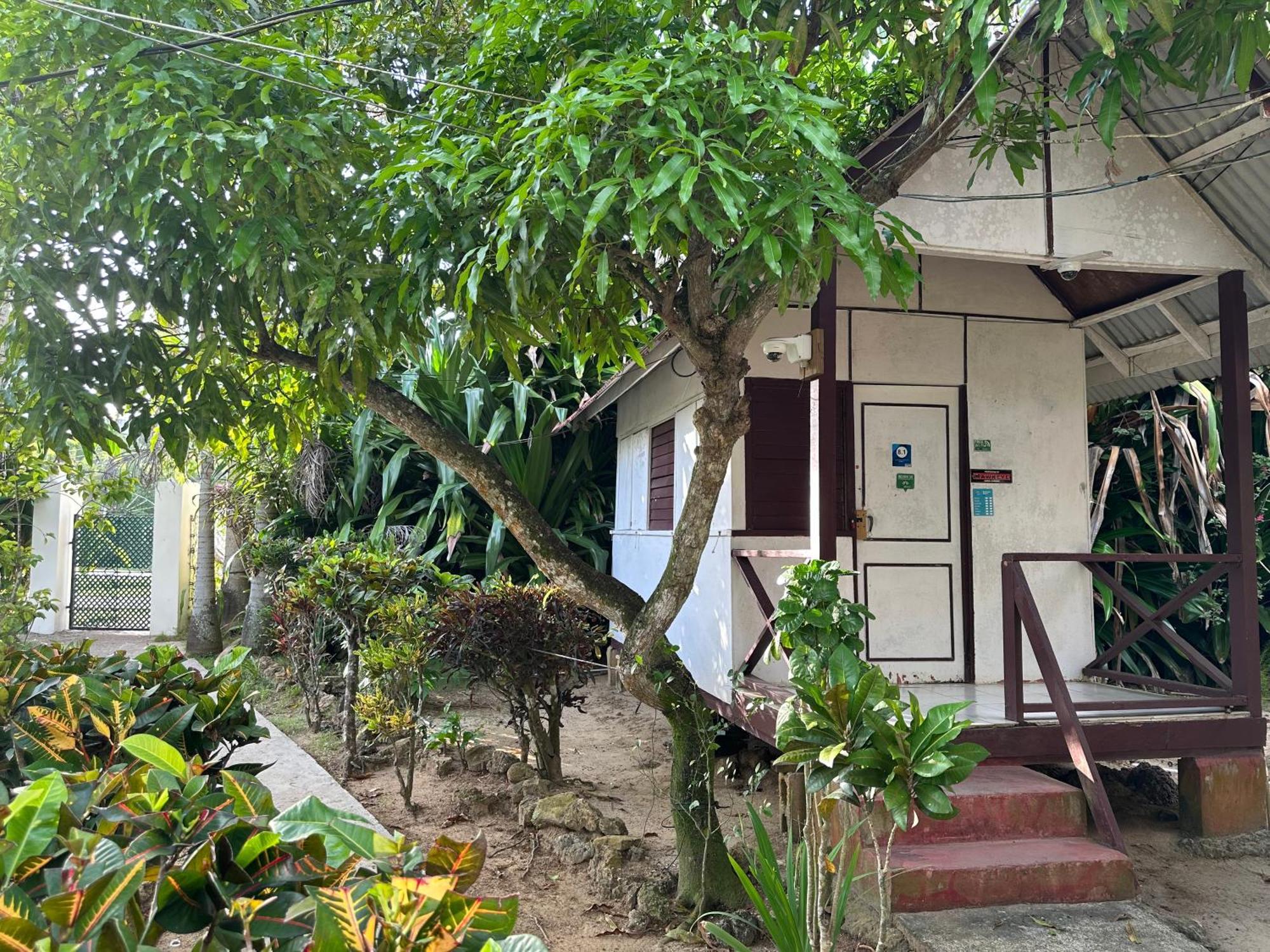Yoga Dreams Negril 호텔 외부 사진